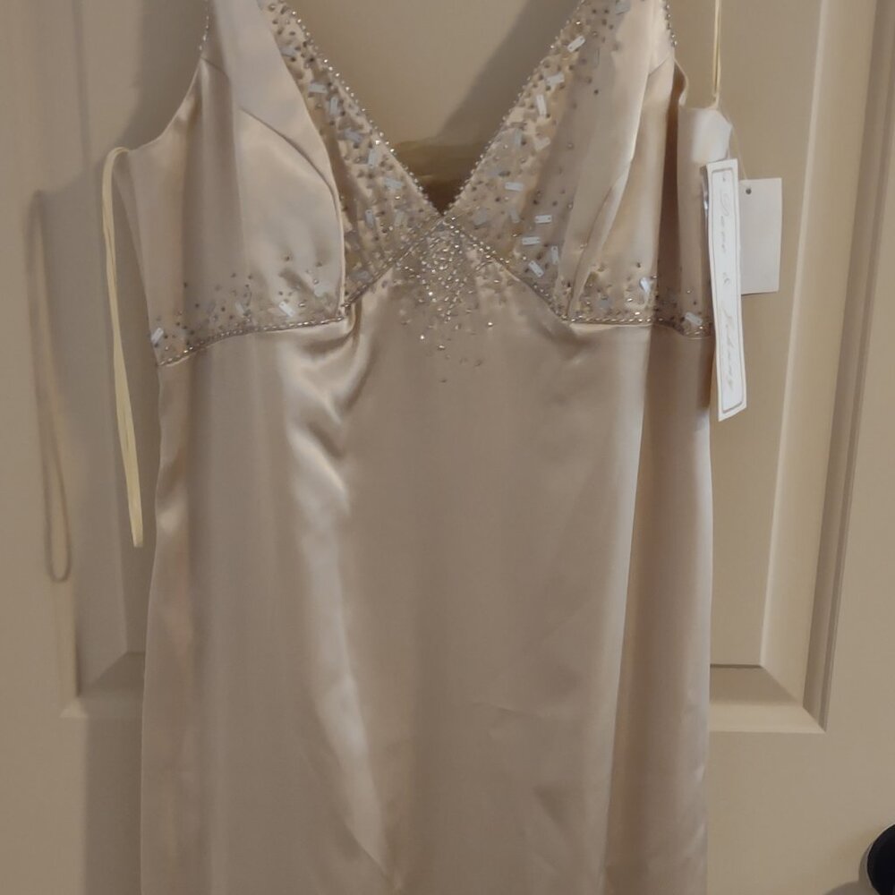 NWT Gown Champagne Color - Size 11/12 - Dave & Johnny Design